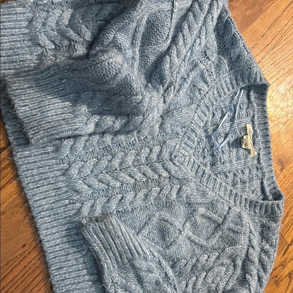 American Eagle Outfitters Blue V-Neck Sweater
